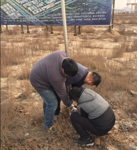 公交東部公司移除公交55路站牌